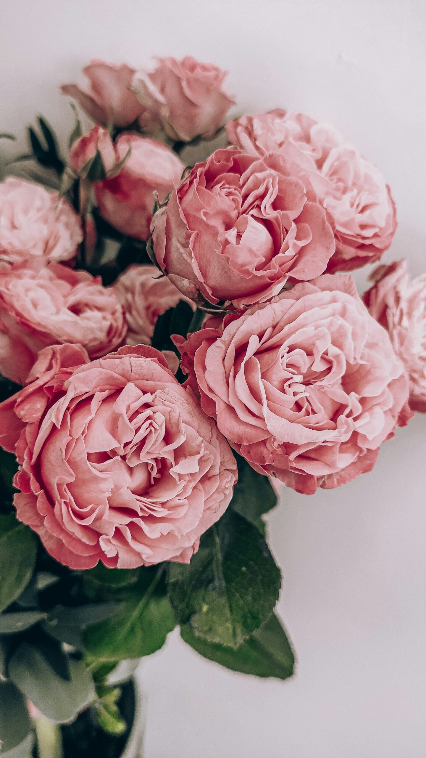 Seasonal Secrets for a Truly Enchanted Garden